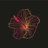 logo - Mahalo Poke & Burger