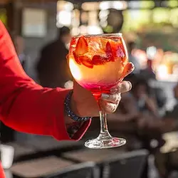 Divino Gastronomia, Fondue & Bar,