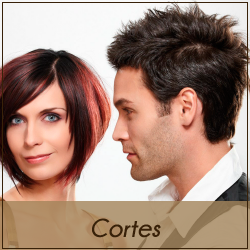 Cortes - Studio Marilac