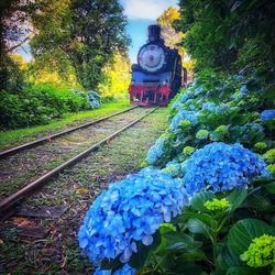Passeio de Trem em Gramado na Serra Gaúcha