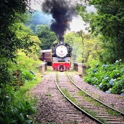 Passeio de Trem em Gramado na Serra Gaúcha