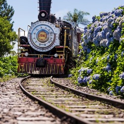 Passeio de Trem em Gramado na Serra Gaúcha