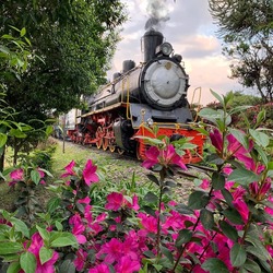 Passeio de Trem em Gramado na Serra Gaúcha