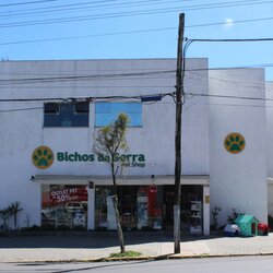 Bichos da Serra Pet Shop