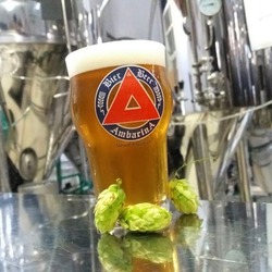 Ambarina Bier e Beer