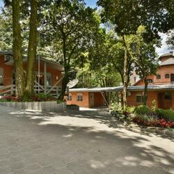 Hotel Pequeno Bosque