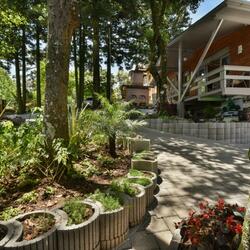 Hotel Pequeno Bosque