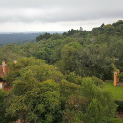 Hotel Monte Felice Bosque